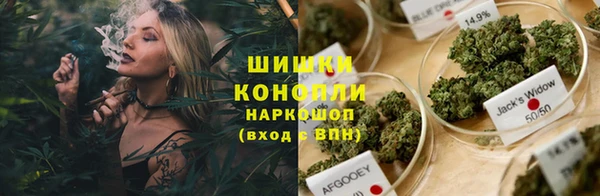 молекула духа Медногорск
