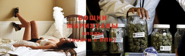 СК Медвежьегорск