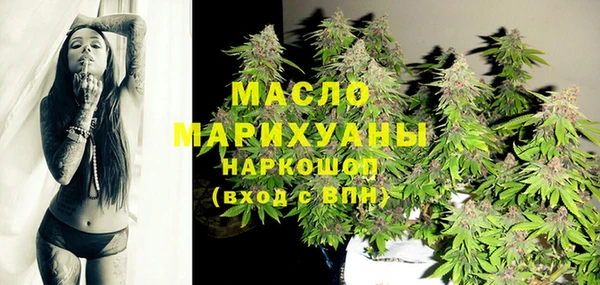 молекула духа Медногорск