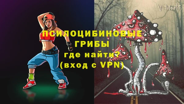 круглые Абаза