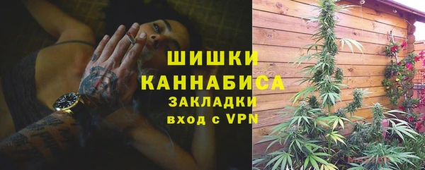 СК Медвежьегорск